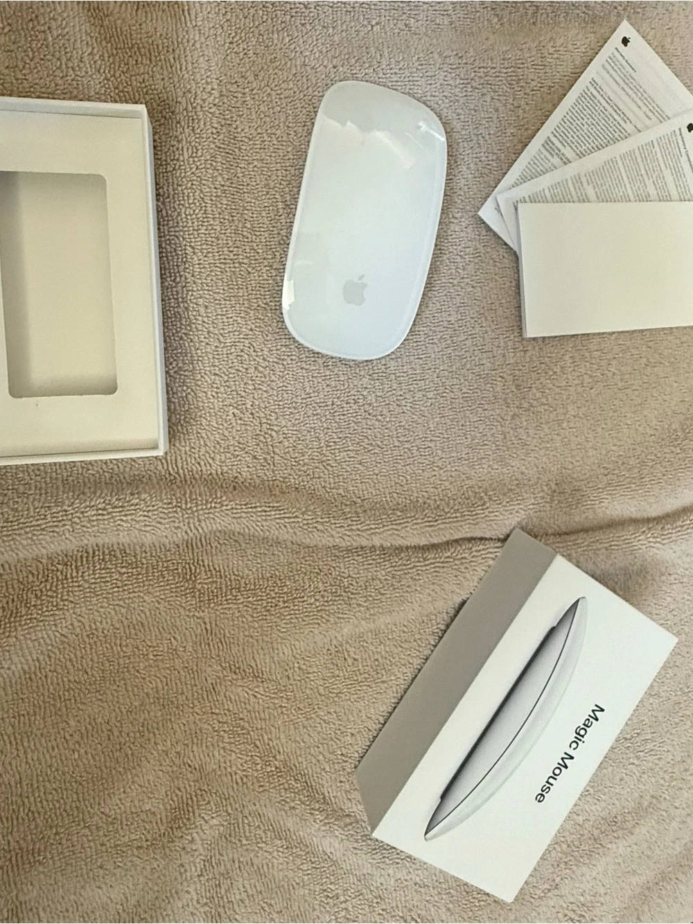 Apple Magic Mouse — White Surface